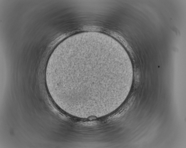 X0000112040433200908311239