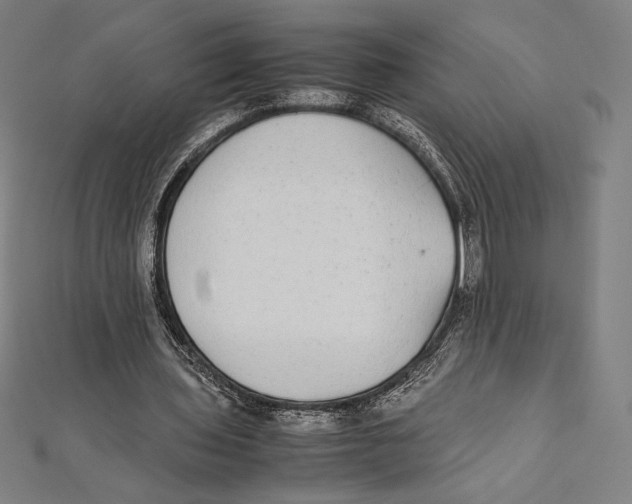 X0000112040435200908311239