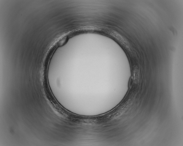 X0000112040436200908311239