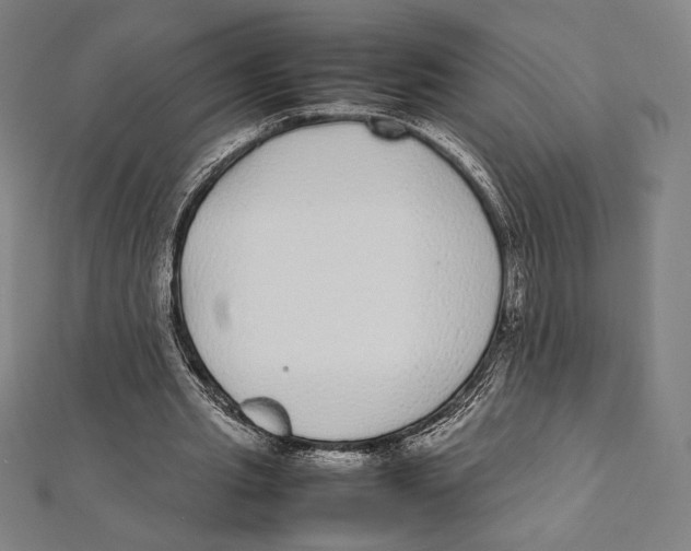 X0000112040437200908311239