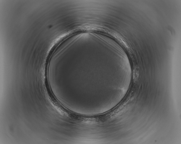 X0000112040438200908311239