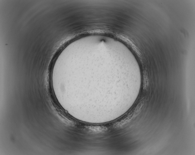 X0000112040439200908311239