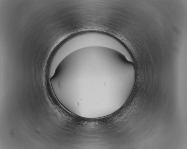 X0000112040440200908311239