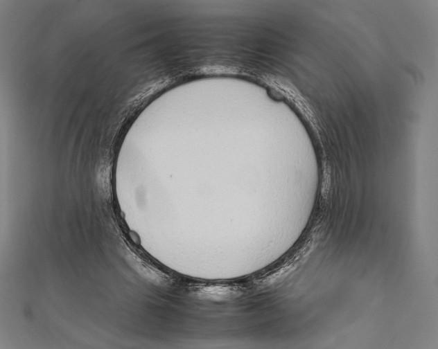 X0000112040441200908311239