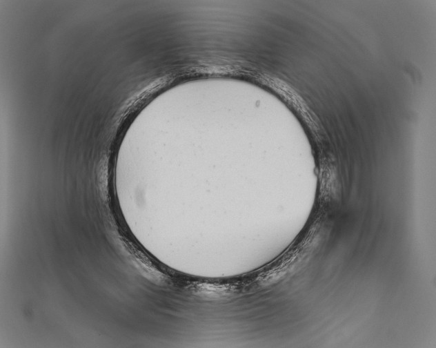 X0000112040442200908311239