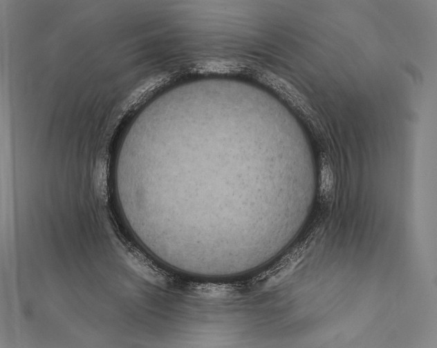 X0000112040444200908311239