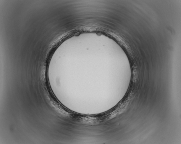 X0000112040446200908311239