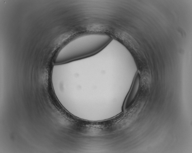 X0000112040448200908311239