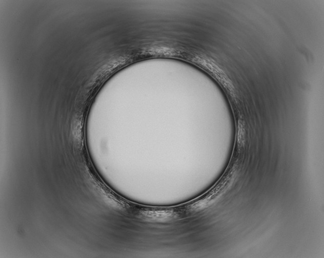 X0000112040449200908311239
