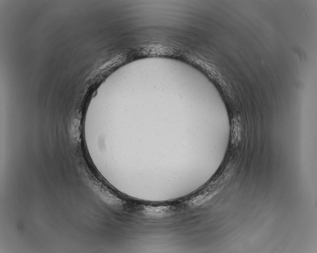 X0000112040450200908311239