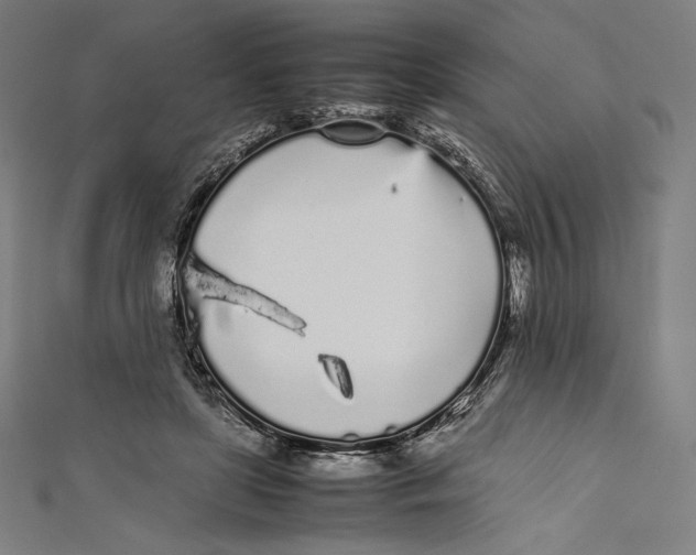 X0000112040451200908311239
