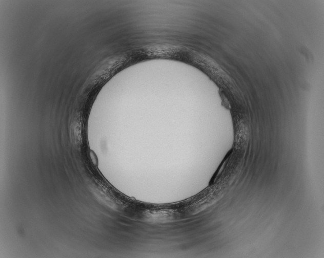 X0000112040452200908311239
