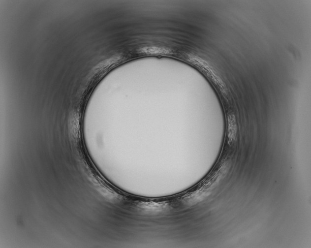 X0000112040453200908311239