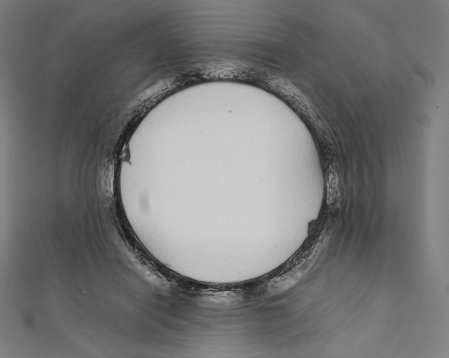 X0000112040454200908311239