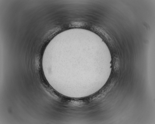 X0000112040455200908311239