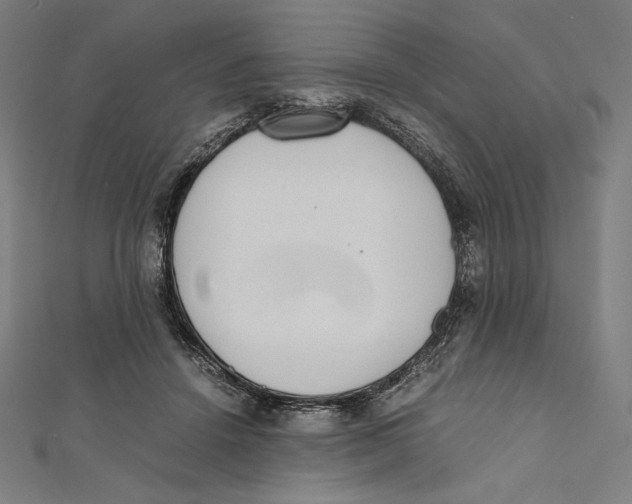 X0000112040456200908311239