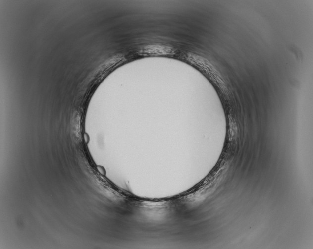 X0000112040457200908311239
