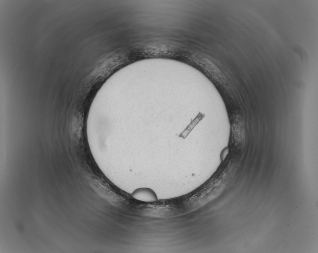 X0000112040458200908311239