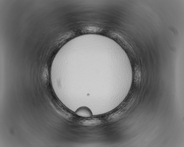 X0000112040459200908311239