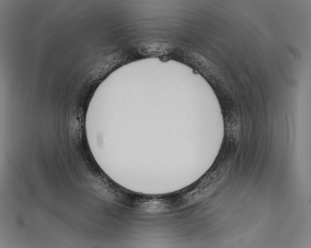 X0000112040460200908311239