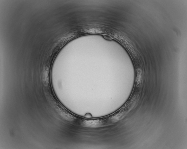 X0000112040461200908311239