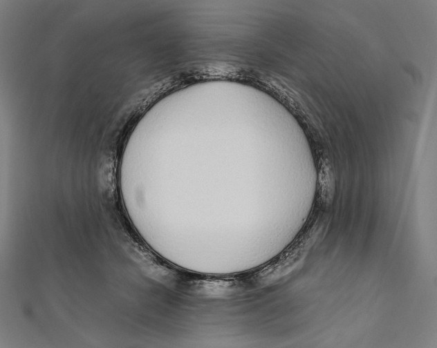 X0000112040462200908311239