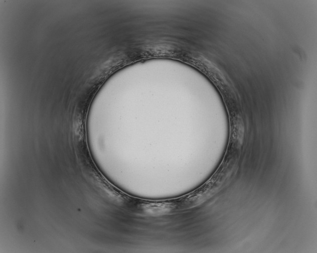 X0000112040465200908311239