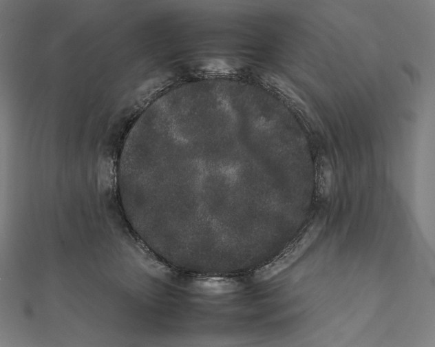 X0000112040467200908311239