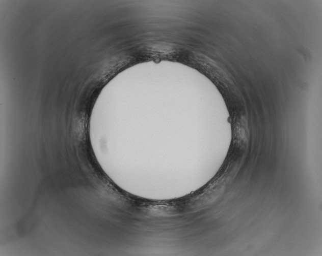 X0000112040468200908311239