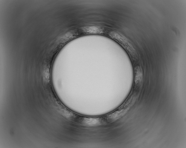 X0000112040469200908311239