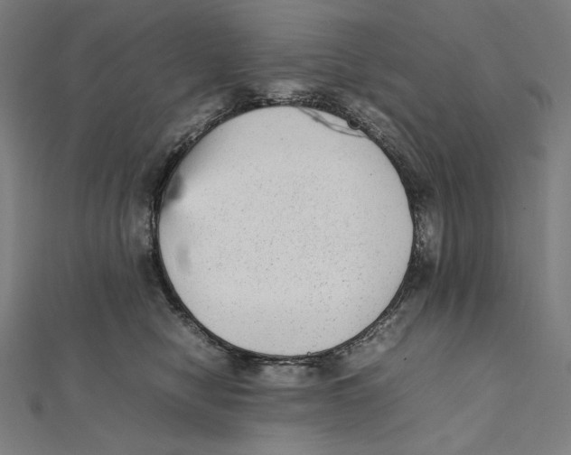 X0000112040470200908311239