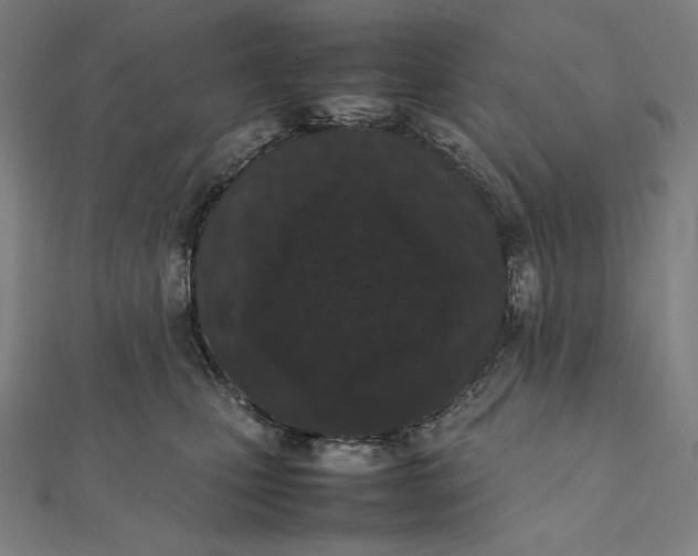X0000112040471200908311239