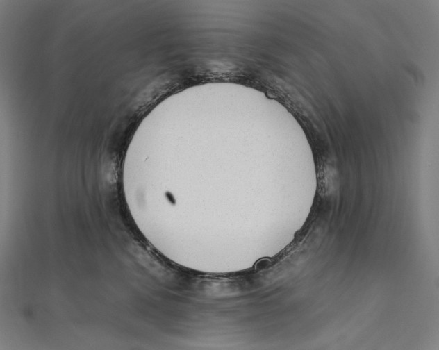 X0000112040472200908311239