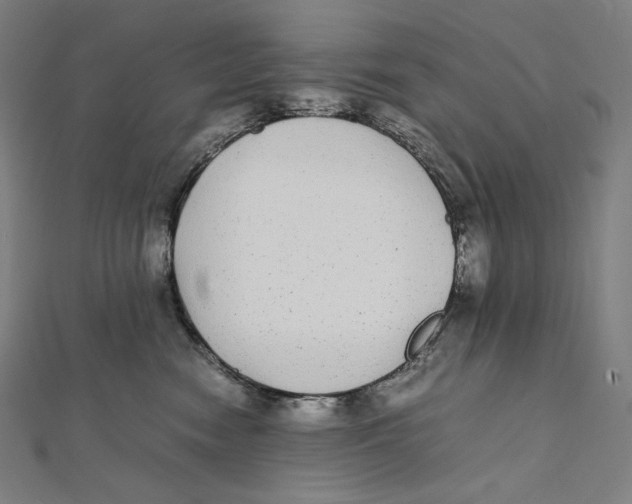 X0000112040474200908311239
