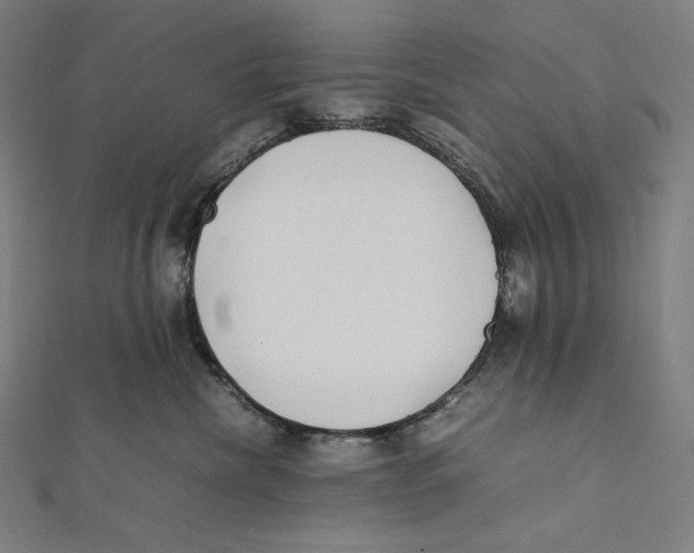 X0000112040476200908311239