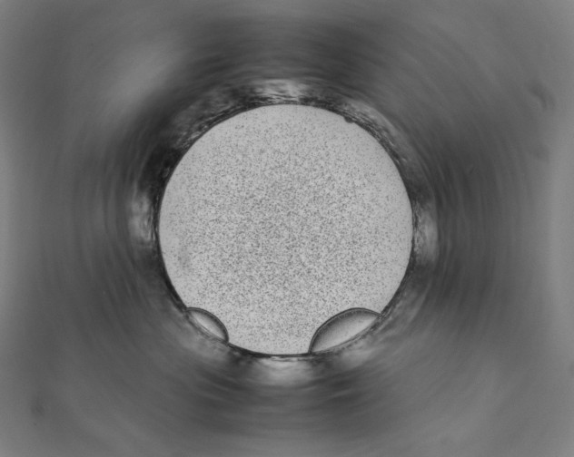 X0000112040477200908311240