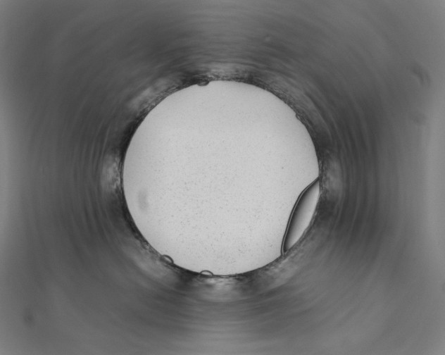 X0000112040478200908311240