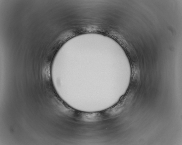 X0000112040479200908311240