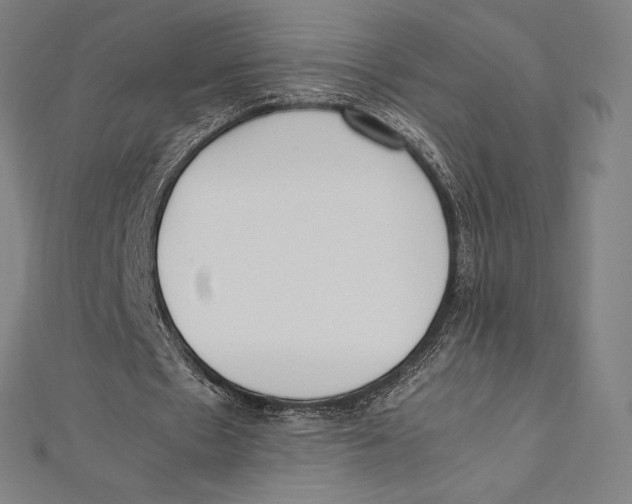 X0000112040481200908311239