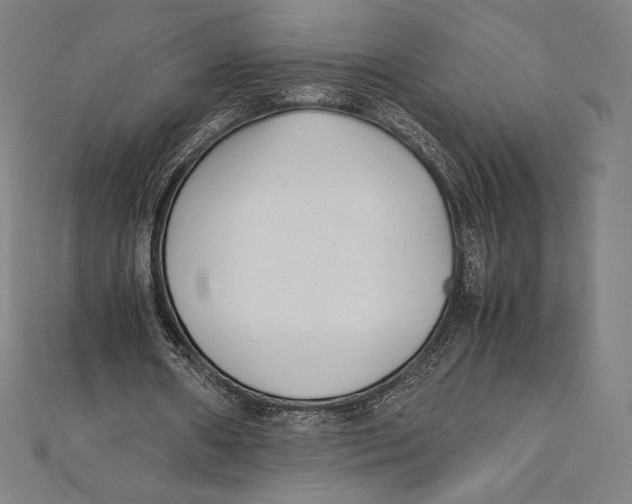 X0000112040482200908311239