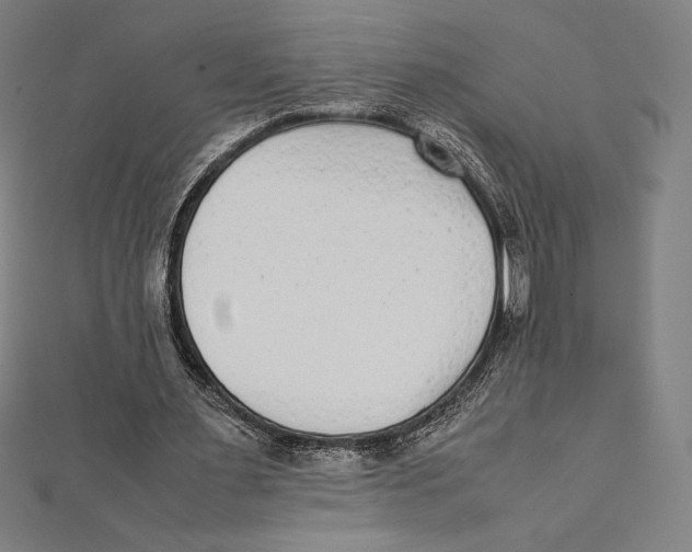 X0000112040483200908311239