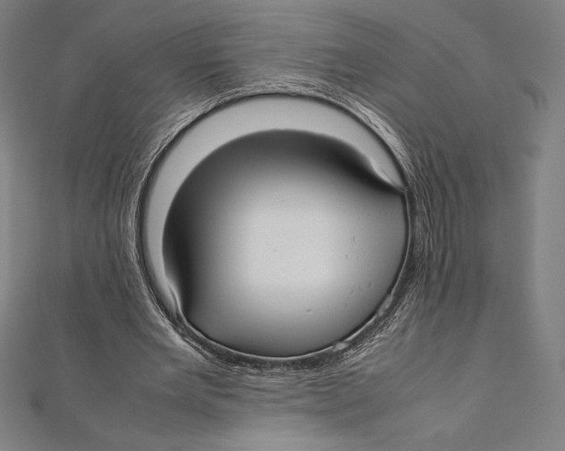 X0000112040485200908311239