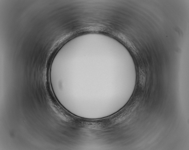 X0000112040486200908311239