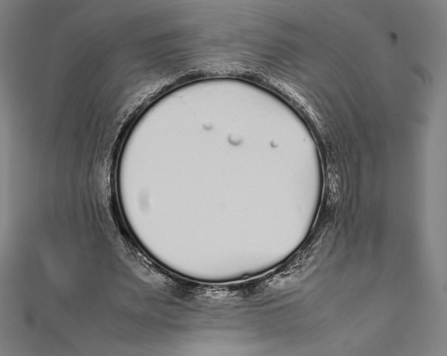 X0000112040487200908311239