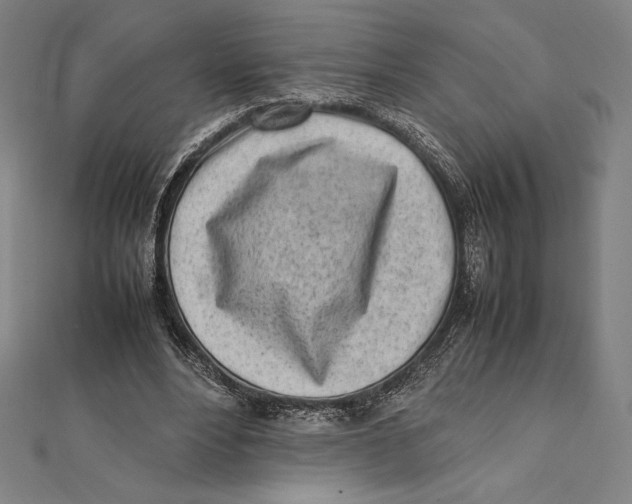 X0000112040488200908311239