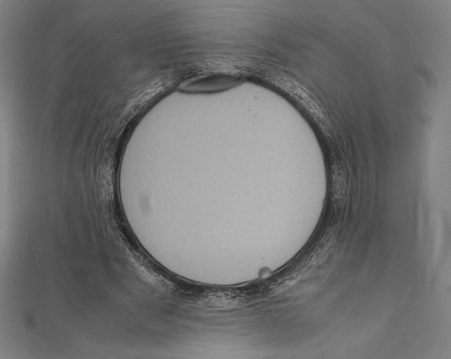 X0000112040489200908311239