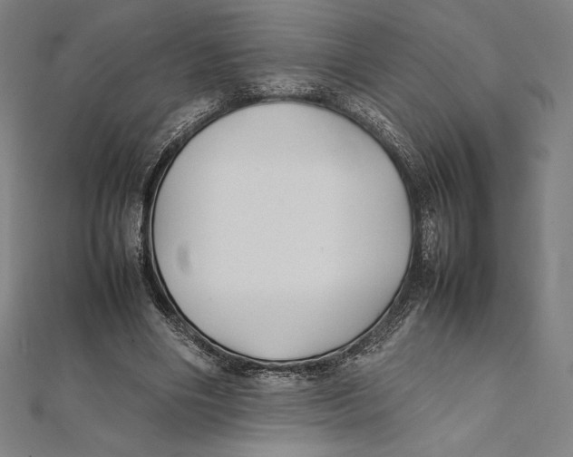 X0000112040490200908311239