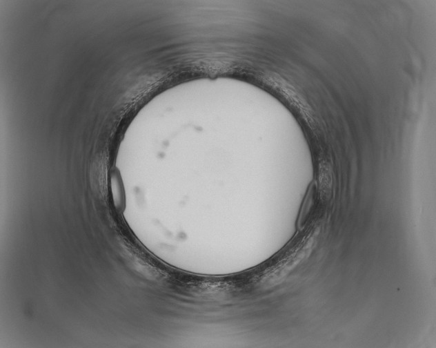X0000112040493200908311239