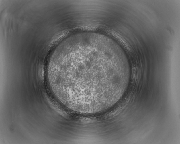 X0000112040494200908311239