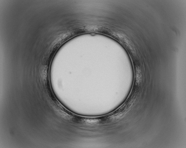 X0000112040495200908311239